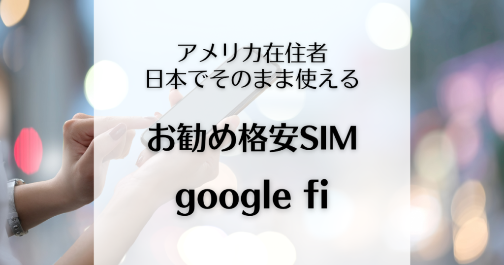 google fi%E3%81%AE%E3%82%A2%E3%82%A4%E3%82%AD%E3%83%A3%E3%83%83%E3%83%81 1